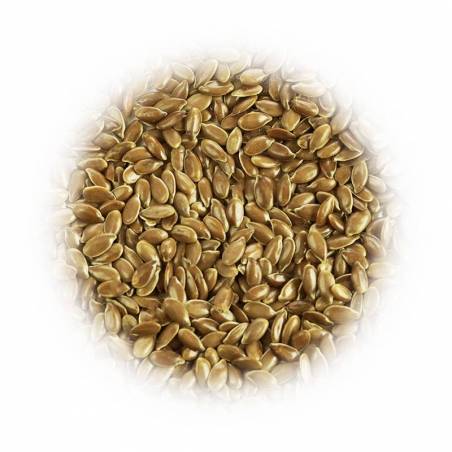 Siemię lniane brązowe