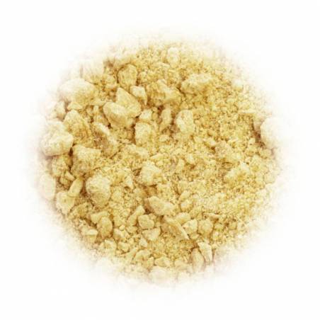 Seitan - WheatMeat ® GDS