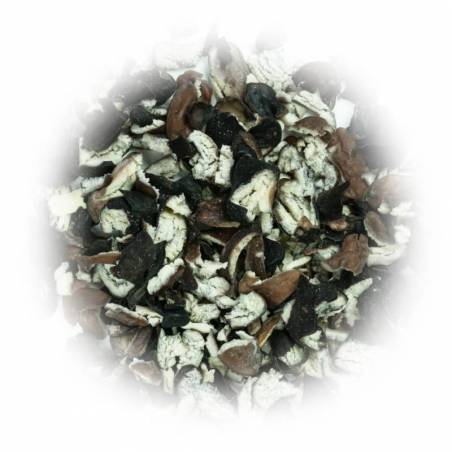 Kiełki fasoli czarnej