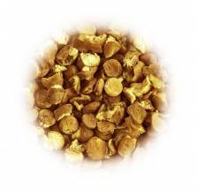 Kiełki soczewicy brazowej...