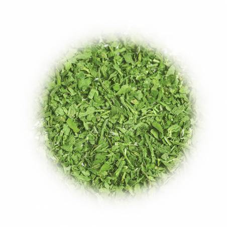 Pietruszka nać suszona