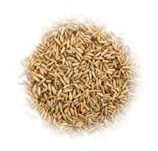 Krzyca ziarna dzikiego żyta