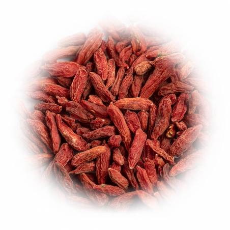 jagody GOJI