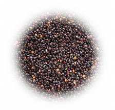 Komosa ryżowa czarna QUINOA