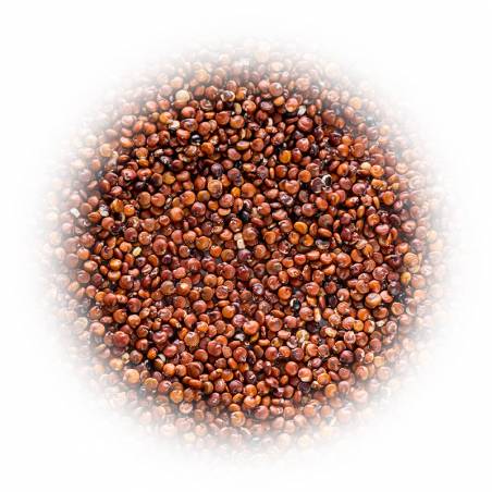 Komosa ryżowa czerwona QUINOA