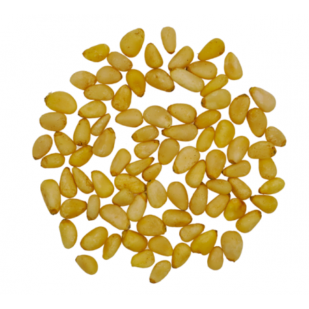 Orzechy piniowe - orzeszki pinii