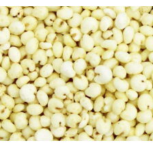 POPPING Kasza jaglana -jagły