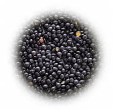 Soczewica czarna - Beluga