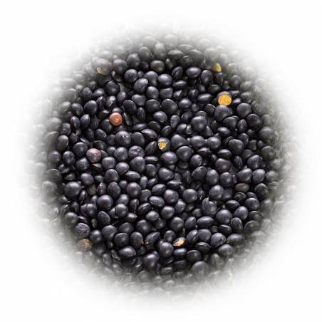 Soczewica czarna - Beluga